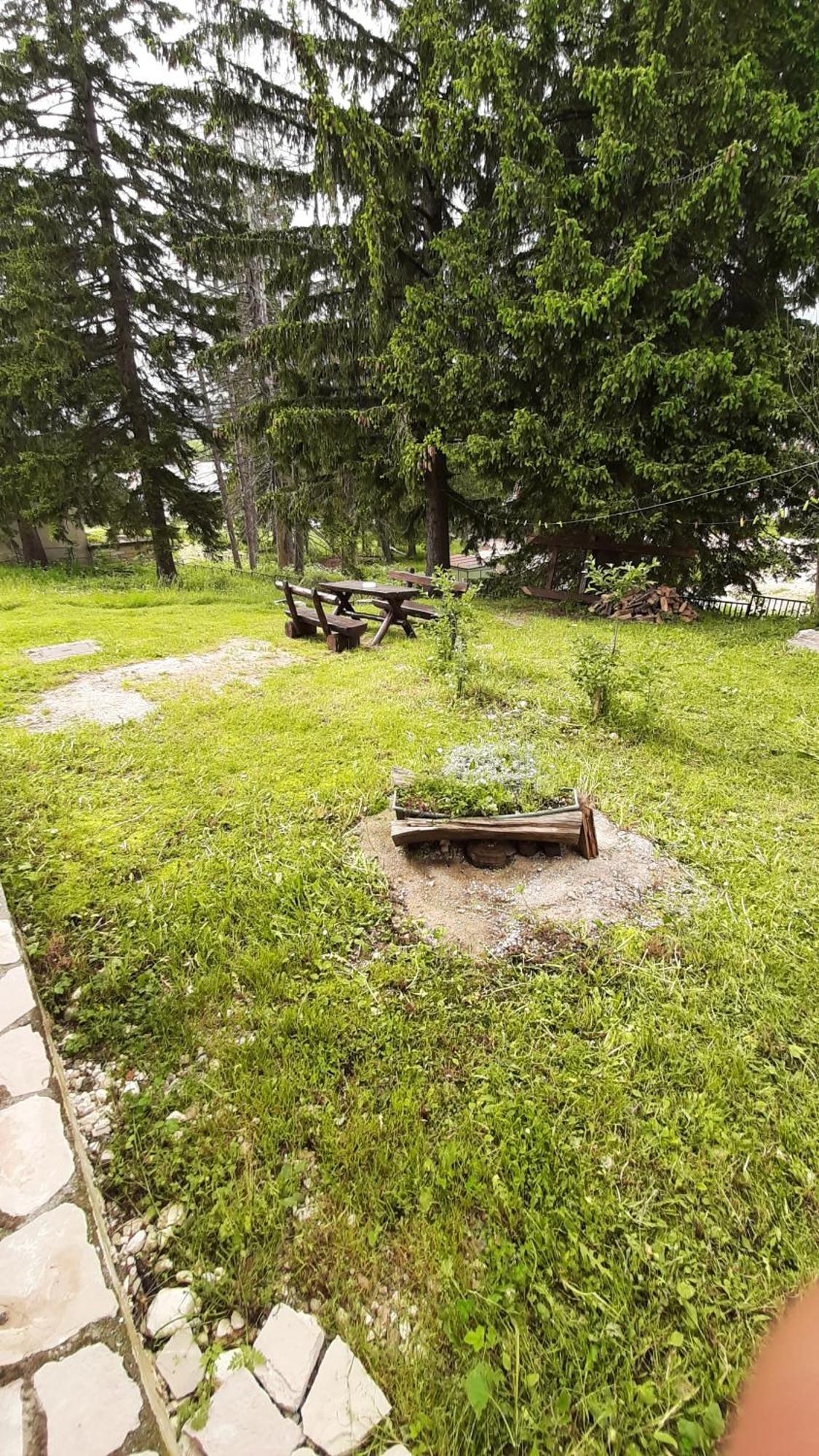 Apartments Durmitor Žabljak Exteriör bild