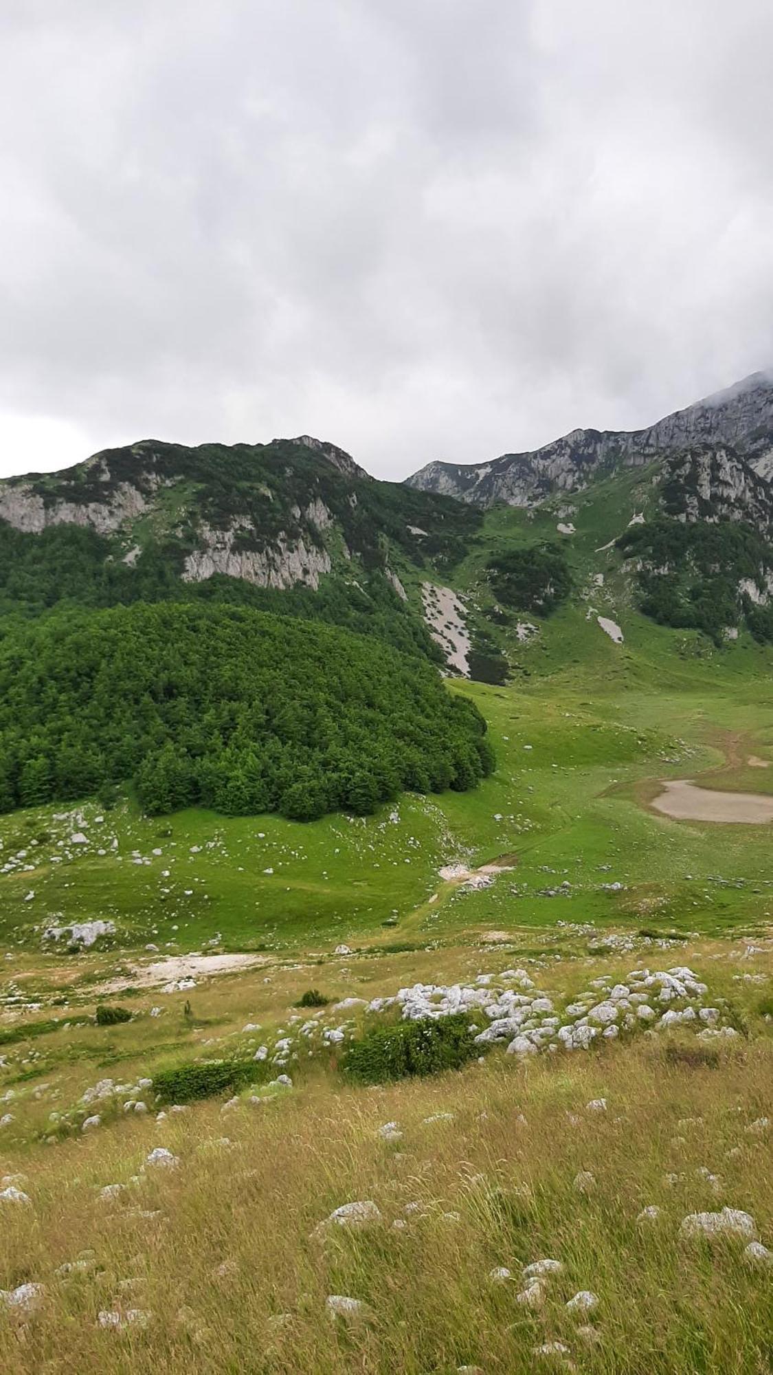 Apartments Durmitor Žabljak Exteriör bild