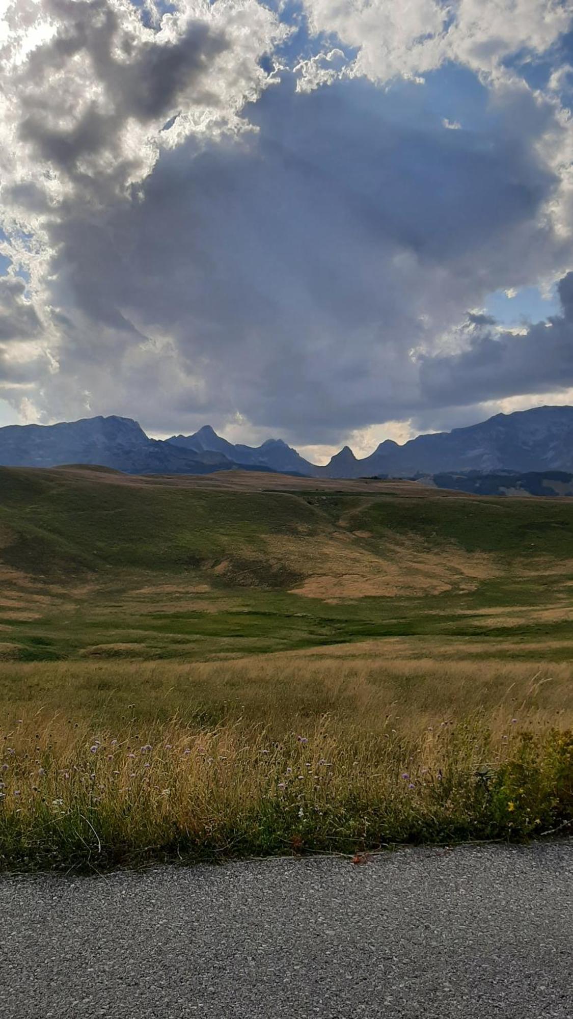 Apartments Durmitor Žabljak Exteriör bild