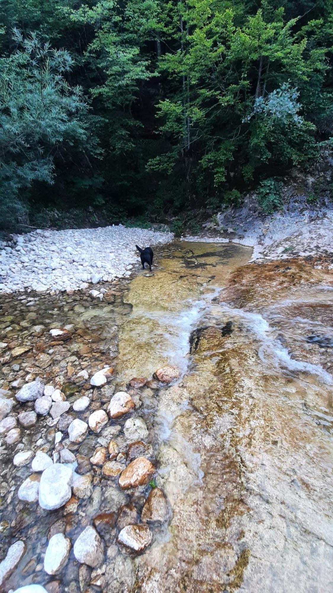 Apartments Durmitor Žabljak Exteriör bild
