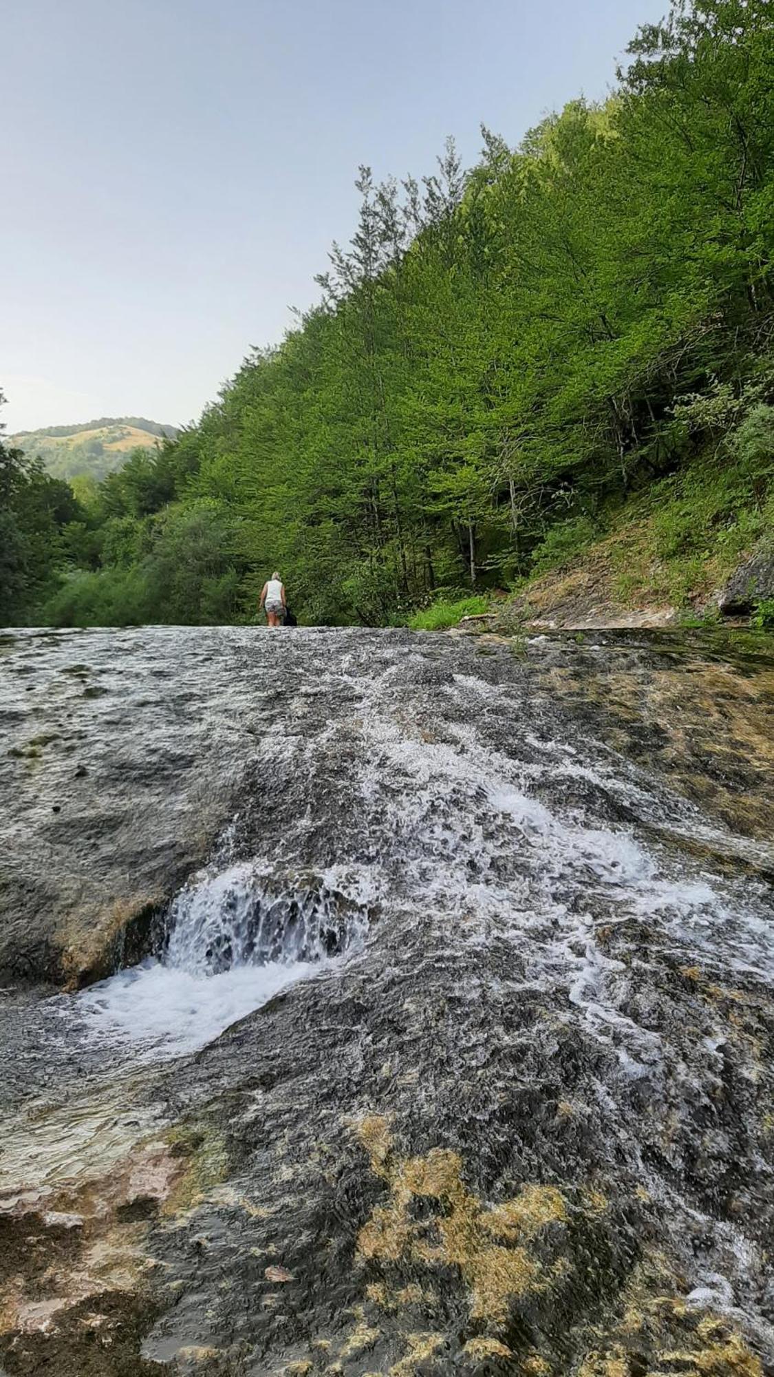 Apartments Durmitor Žabljak Exteriör bild