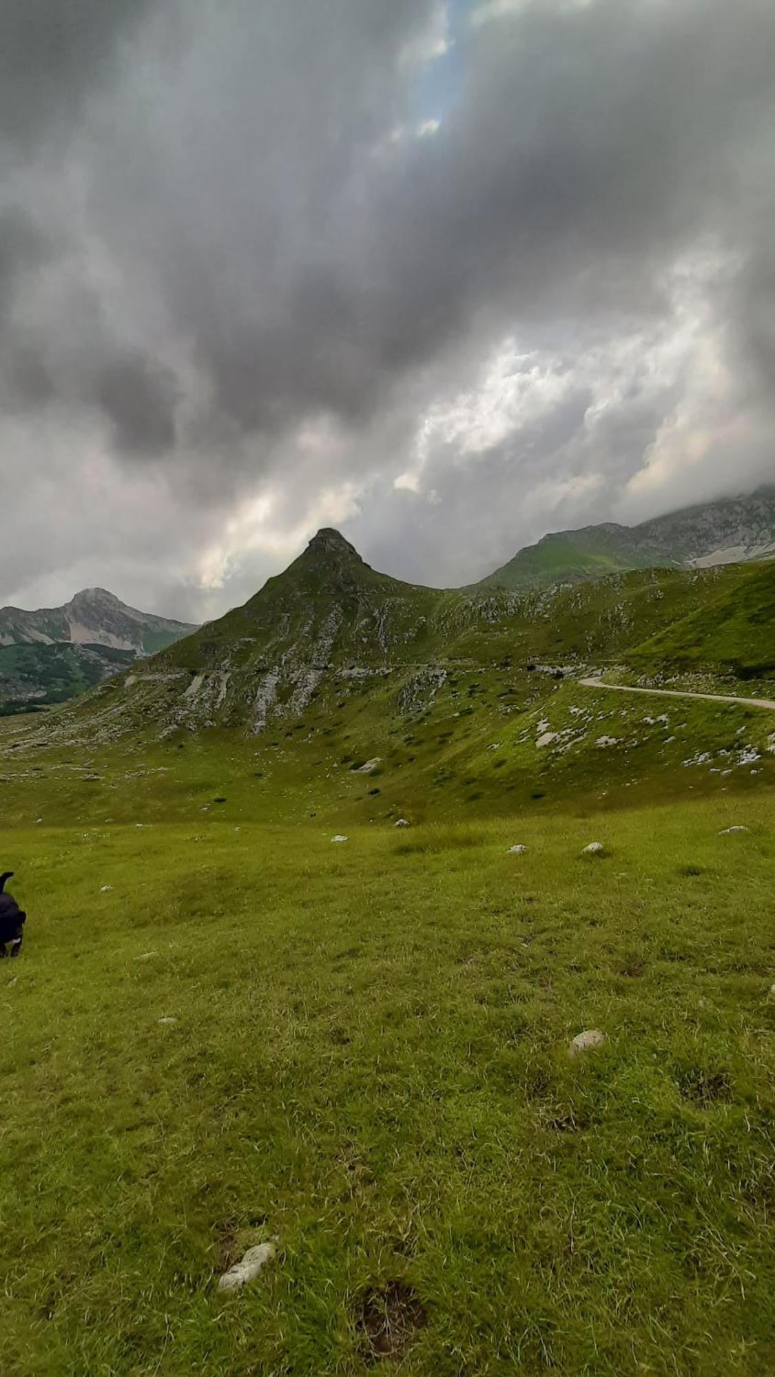 Apartments Durmitor Žabljak Exteriör bild
