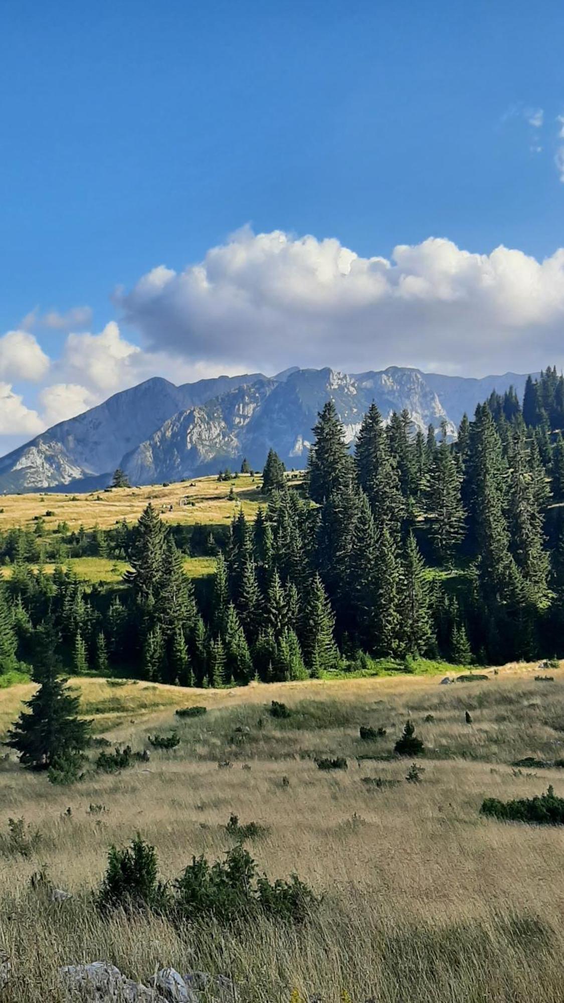 Apartments Durmitor Žabljak Exteriör bild