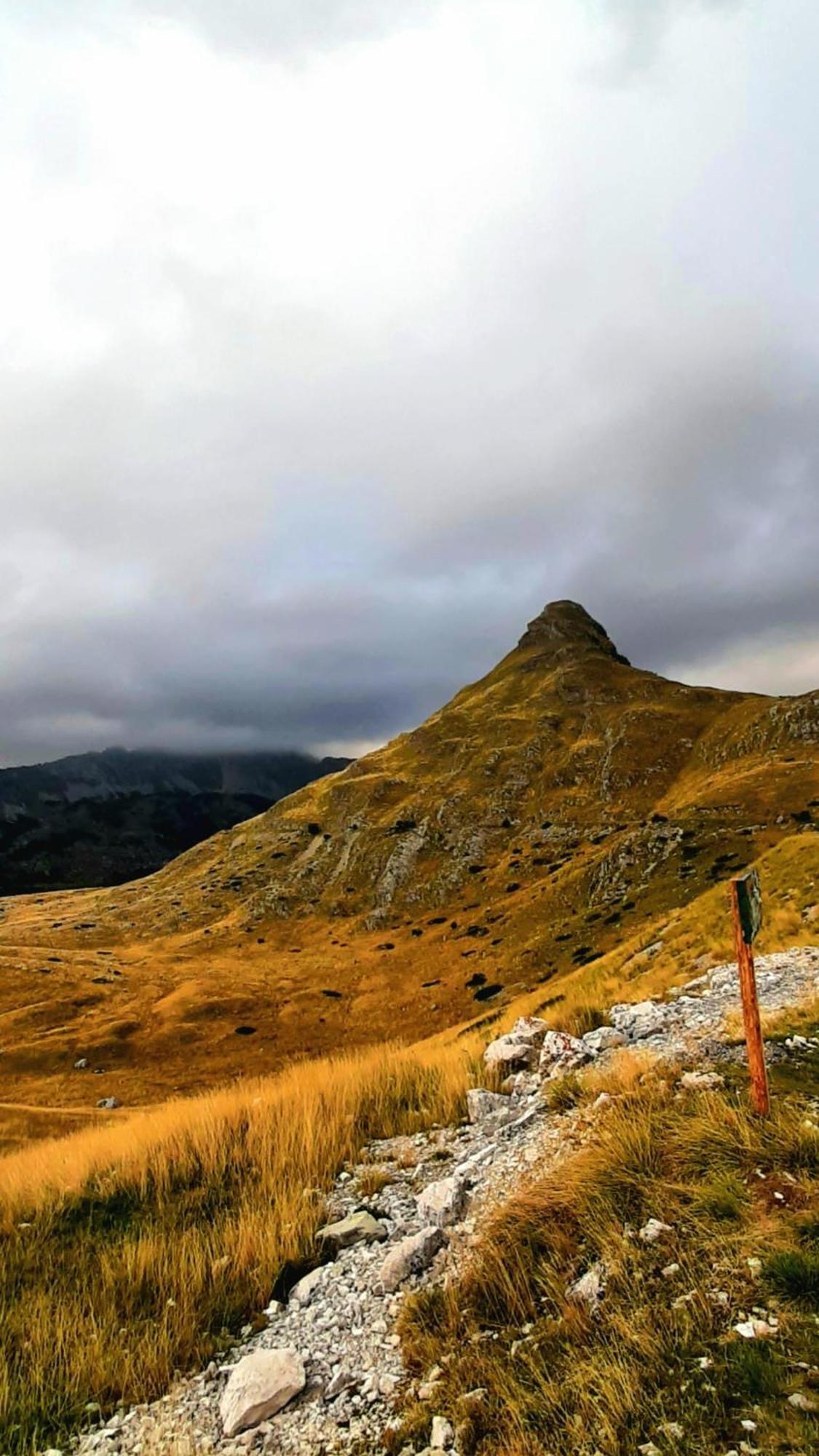 Apartments Durmitor Žabljak Exteriör bild