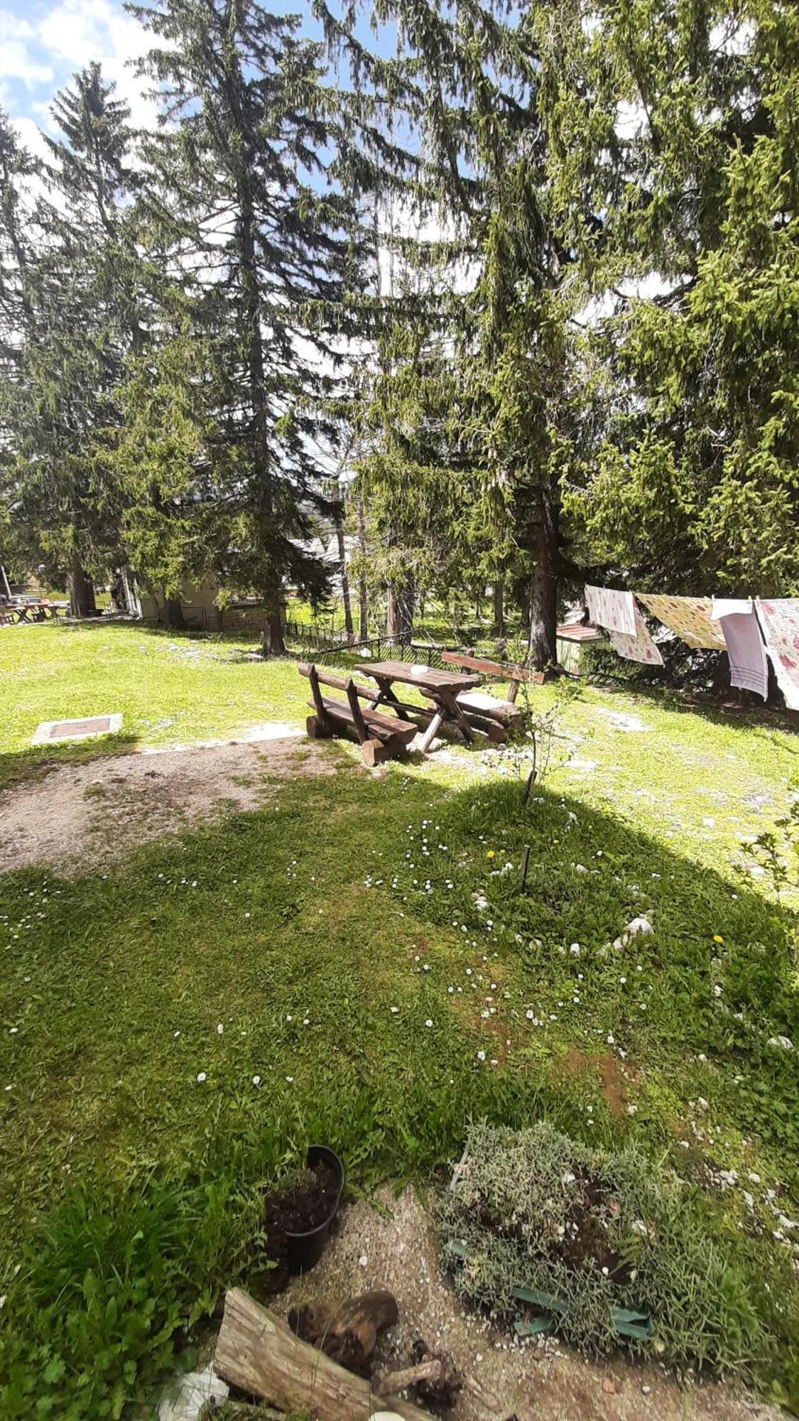 Apartments Durmitor Žabljak Exteriör bild